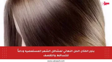 بذور الكتان الحل النهائي لمشاكل الشعر المستعصية وداعاً للتساقط والتقصف